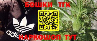 spice Кинель